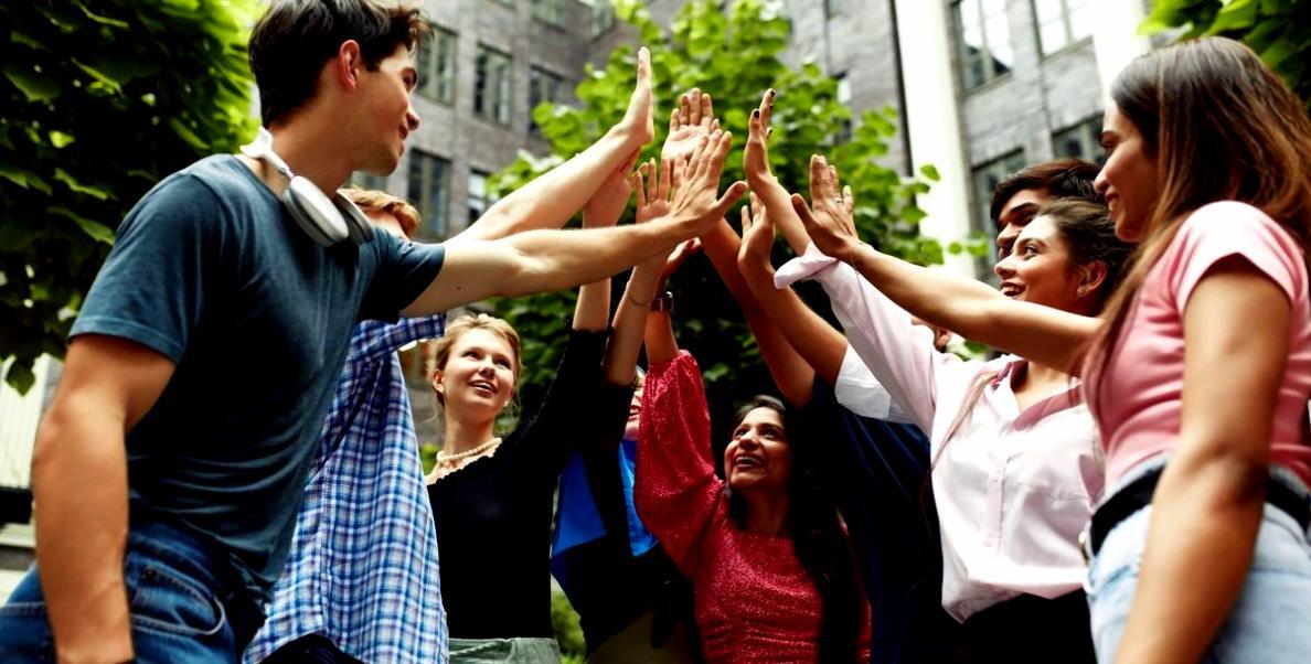 Verfügbare Kursprogramme zur Traffic-Optimierung